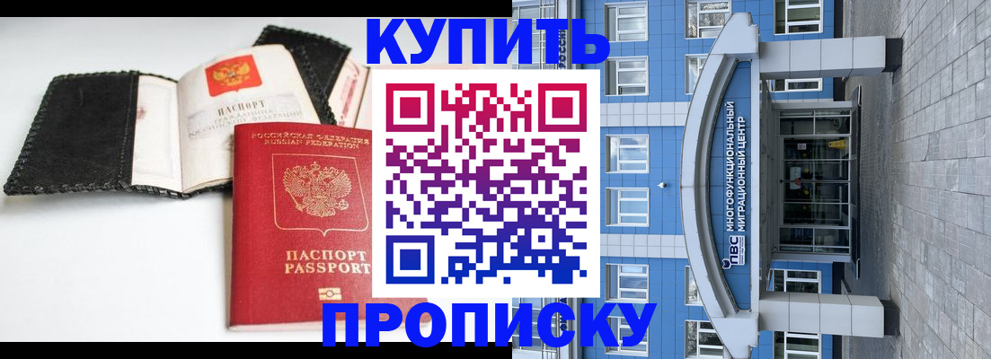 прописка гарантия в Сальске